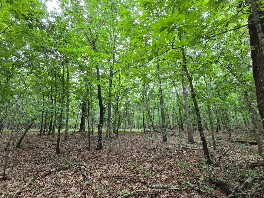 000 Golf Course Road, Marshfield, MO 65706 - #2