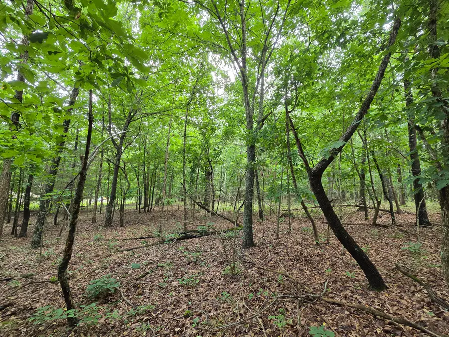 000 Golf Course Road, Marshfield, MO 65706 - #3