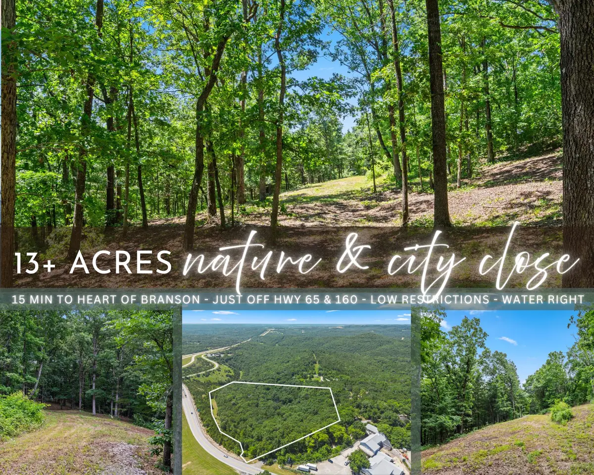 Tbd Deer Mountain Road, Walnut Shade, MO 65771 - #1