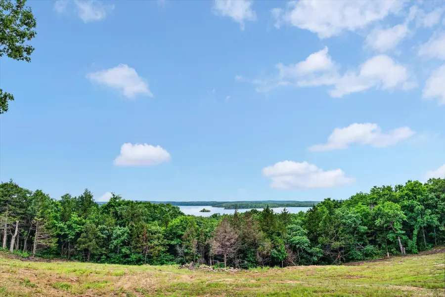 24164 State Highway 254 #Lot 6, Hermitage, MO 65668 - #3