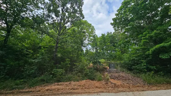 Lot #13 Hanging Branch, Cape Fair, MO 65624