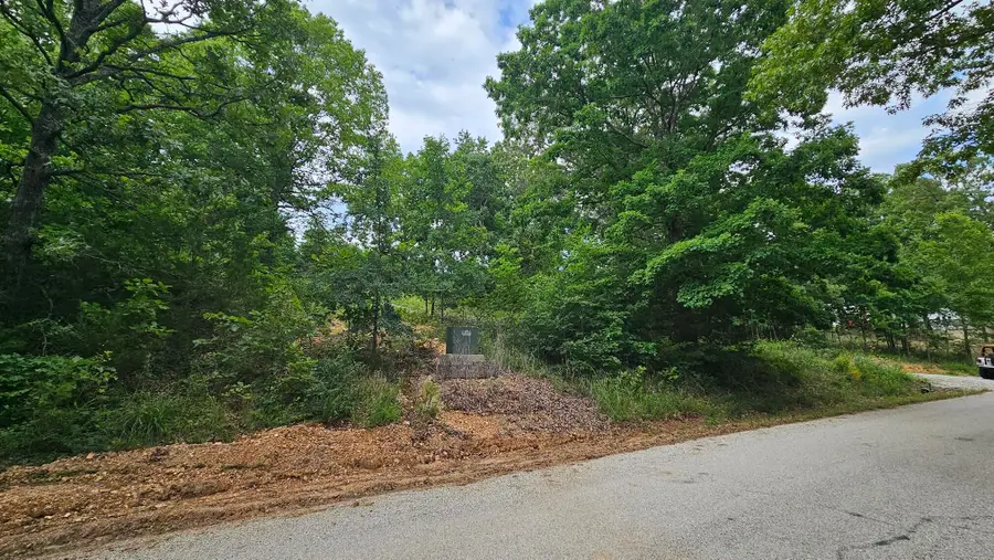 Lot #13 Hanging Branch, Cape Fair, MO 65624 - #3