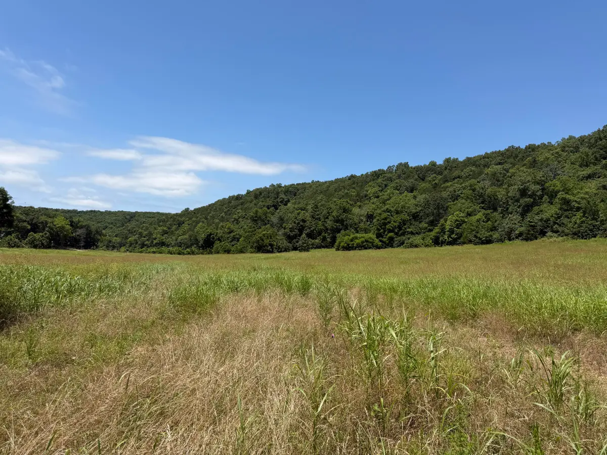 000 Northfork Village St. Lot 1 Street, Tecumseh, MO 65760 - #1