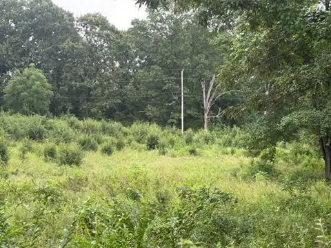 000 County Road 393 W, Thayer, MO 65791 - #2