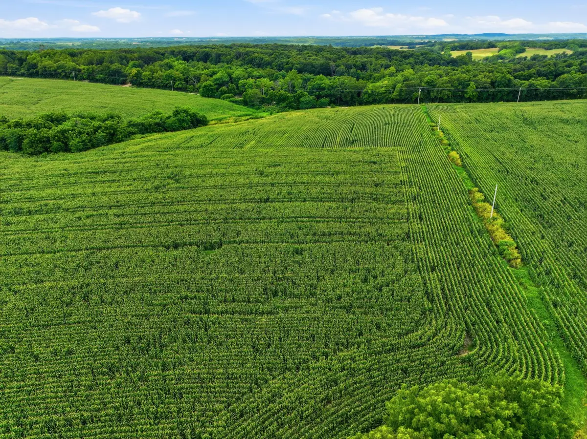 000 Gravel Point Road #2, Mountain Grove, MO 65711 - #1