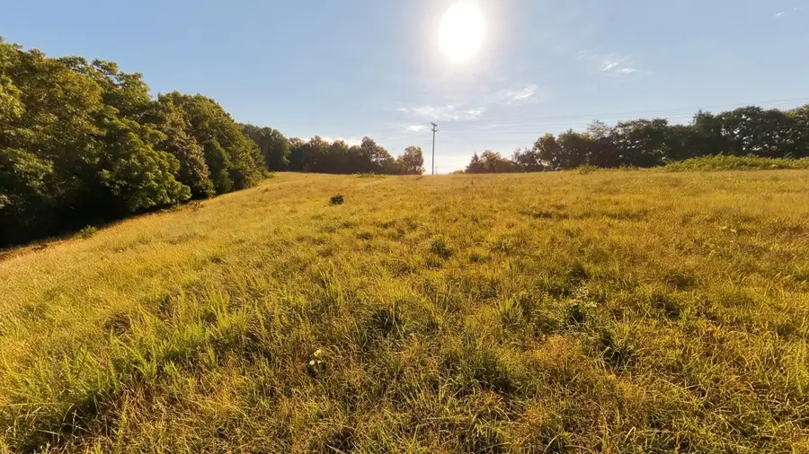 000 Foxden Drive Lot 3, Gainesville, MO 65655 - #3
