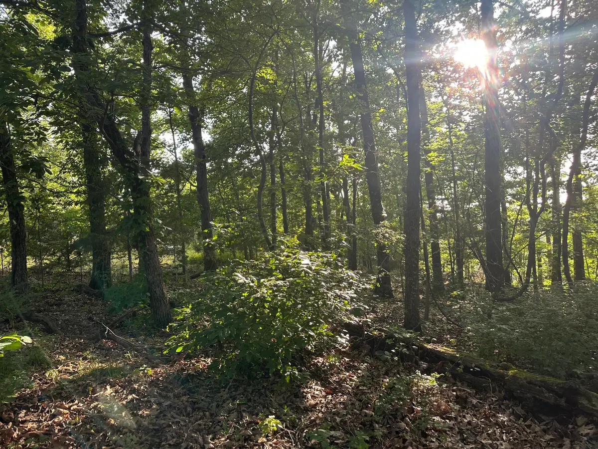 Tbd Center Road, Ozark, MO 65721 - #1
