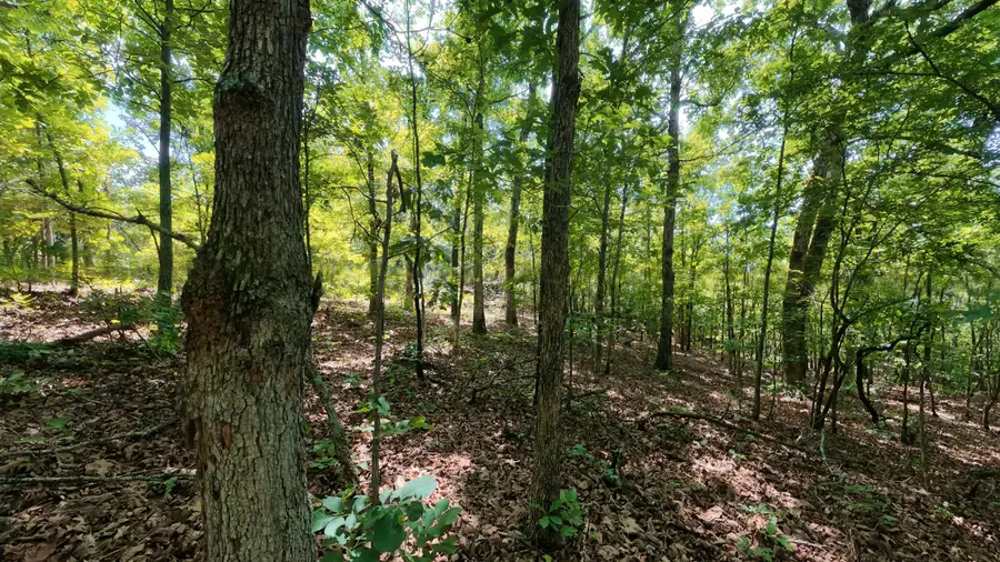 000 Ridgehaven Road, Mammoth Spring, AR 72554 - #3