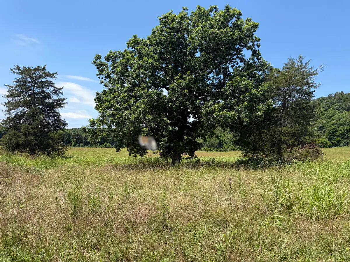 000 Northfork Village Street #Lot 2, Tecumseh, MO 65760 - #1