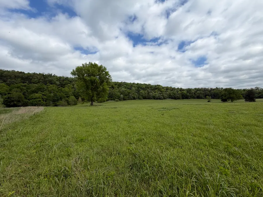 000 Northfork Village Street #Lot 2, Tecumseh, MO 65760 - #2