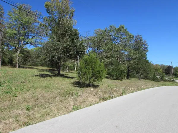 Tbd Green Briar Drive, Branson, MO 65616