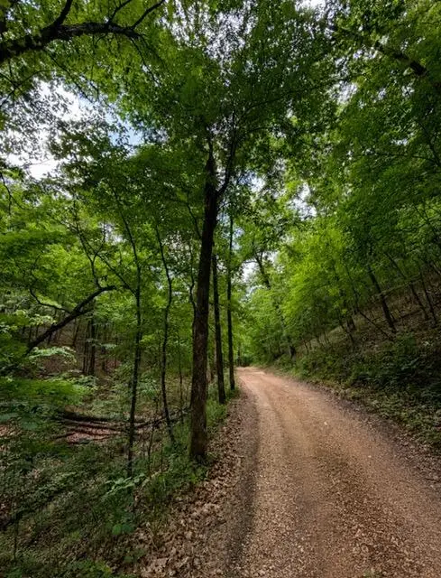 000 Oak Thicket Lane, Galena, MO 65656 - #1