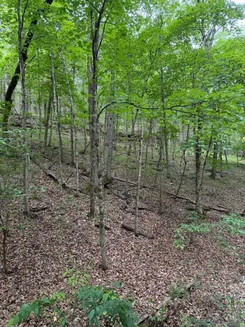 000 Oak Thicket Lane, Galena, MO 65656 - #2