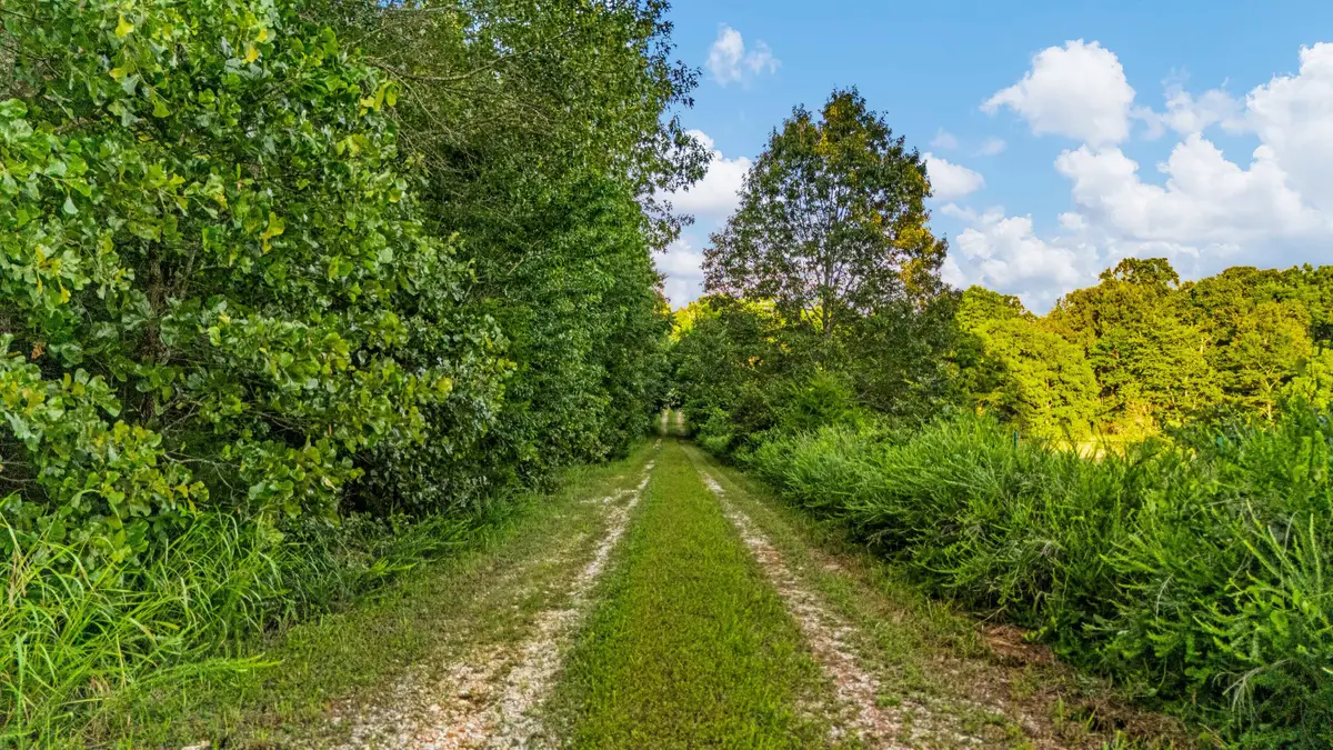 9593 County Road 9660, Koshkonong, MO 65692 - #1