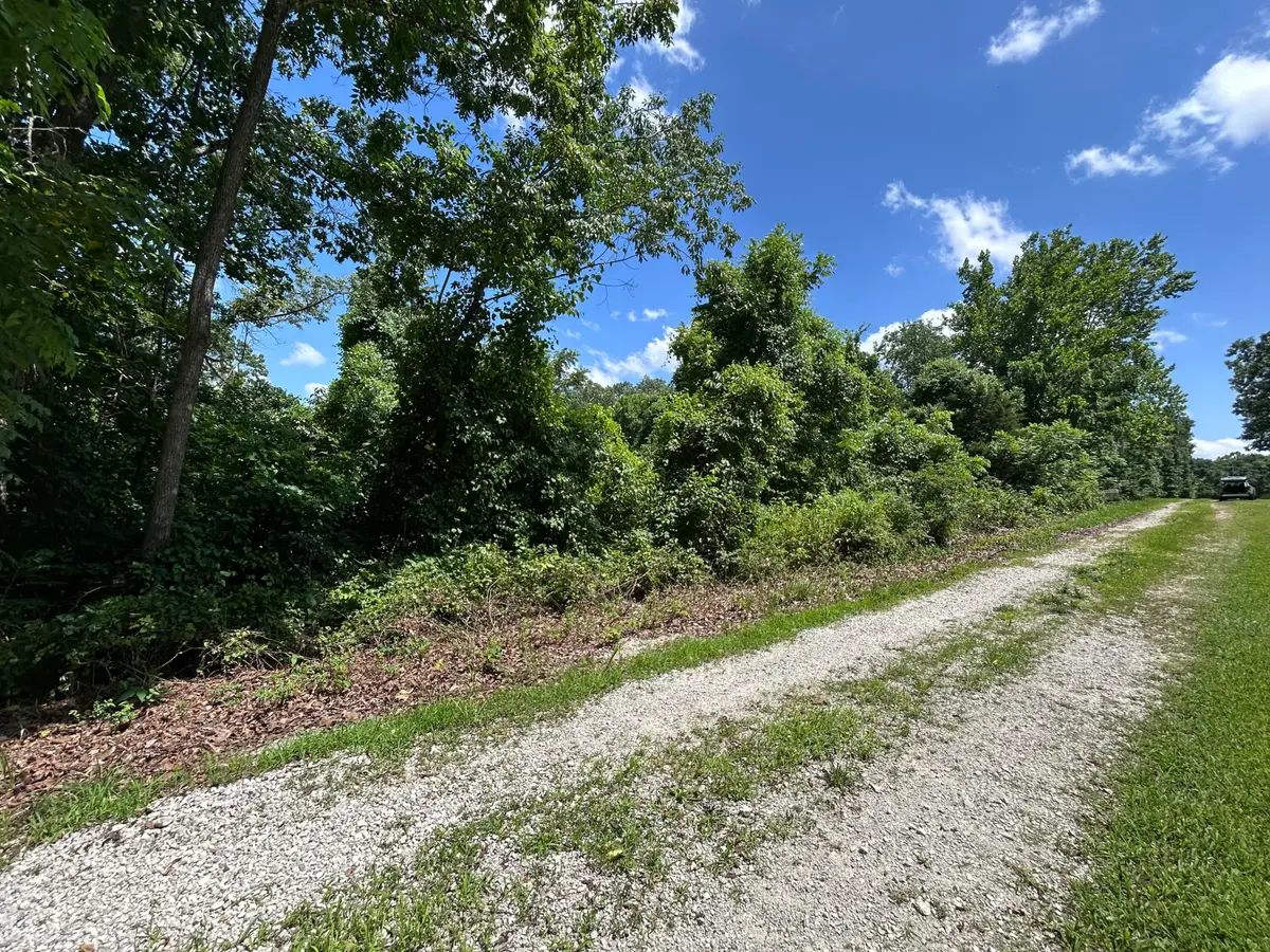 000 Mcdonald Place #Tract 2 Quail Trails, Shell Knob, MO 65747 - #1
