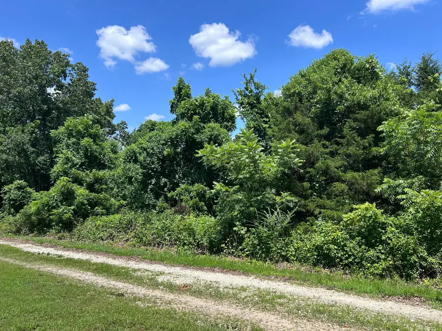 000 Mcdonald Place #Tract 2 Quail Trails, Shell Knob, MO 65747 - #3