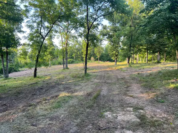 000 S 95 Lot 26 Highway, Ava, MO 65608
