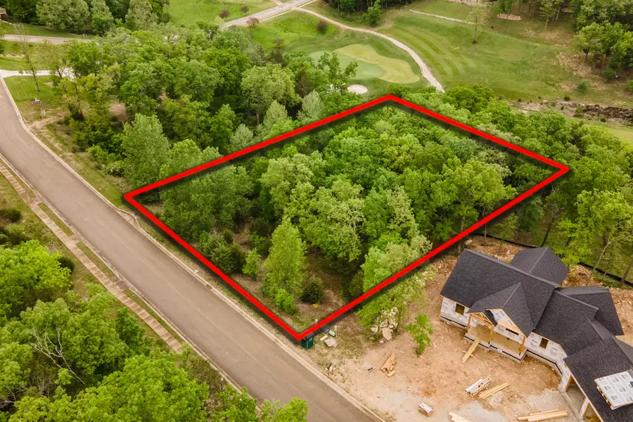 240 Royal Dornoch Drive, Branson, MO 65616 - #3