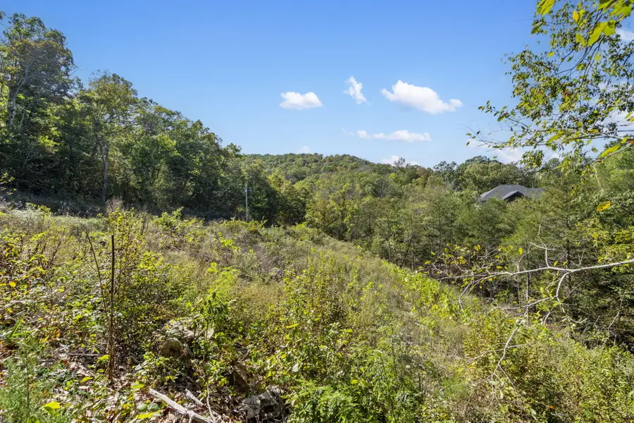 195 Kings Ridge Road, Cape Fair, MO 65624 - #3