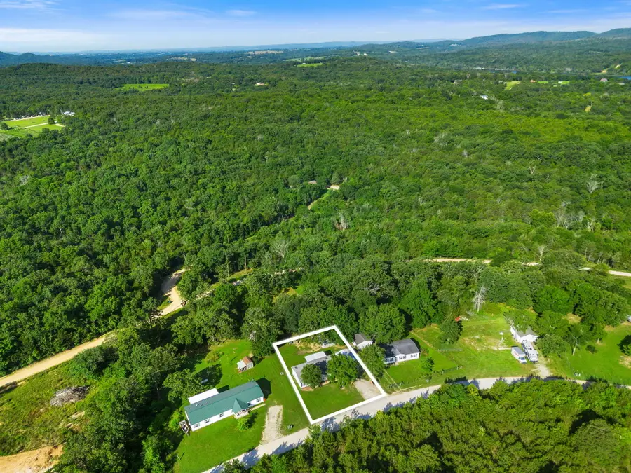165 Clear Top Lane, Lampe, MO 65681 - #3