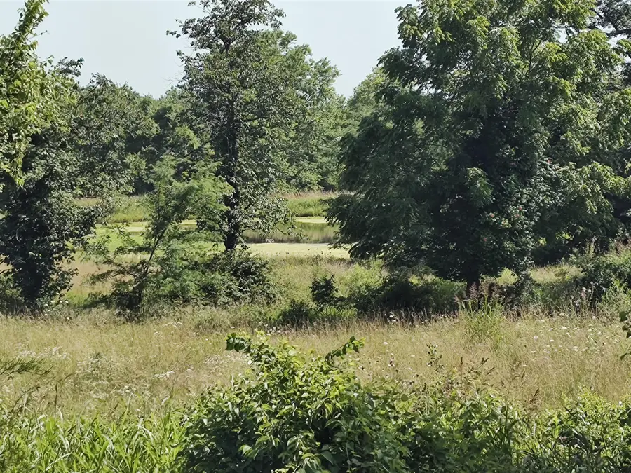 000 E Prairie Lane, Bolivar, MO 65613 - #3