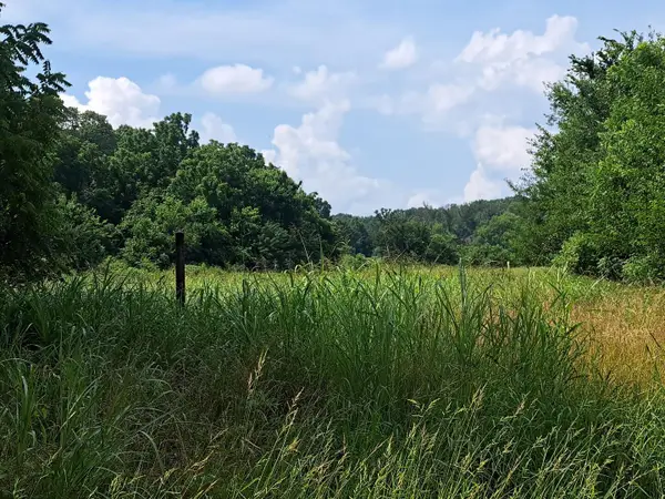 000 Little Mill Road, Granby, MO 64844
