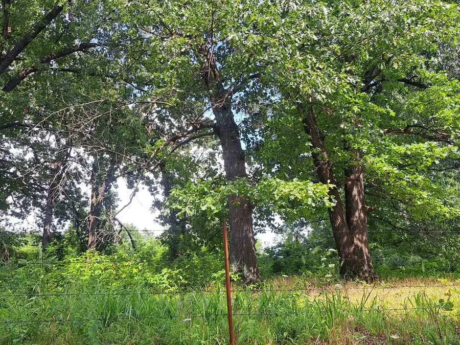 000 Little Mill Road, Granby, MO 64844 - #2