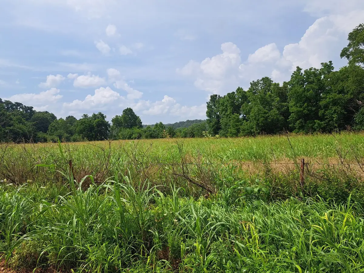 000 Reindeer Road, Granby, MO 64844 - #1
