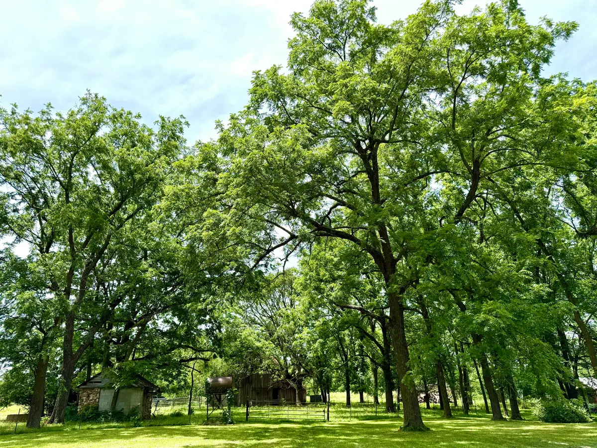 000 W Farm Road 94, Willard, MO 65781 - #1