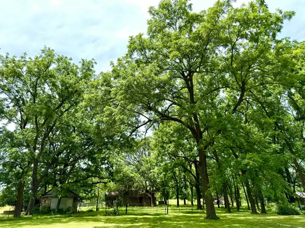 000 W Farm Road 94, Willard, MO 65781