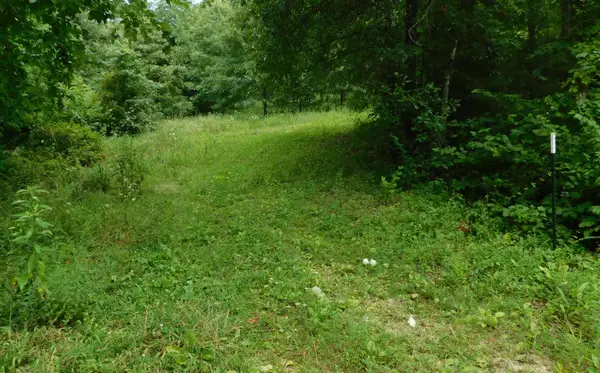 4286 SE 871 Road, Collins, MO 64738