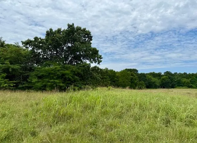 000 State Highway 76, Ava, MO 65608 - #1