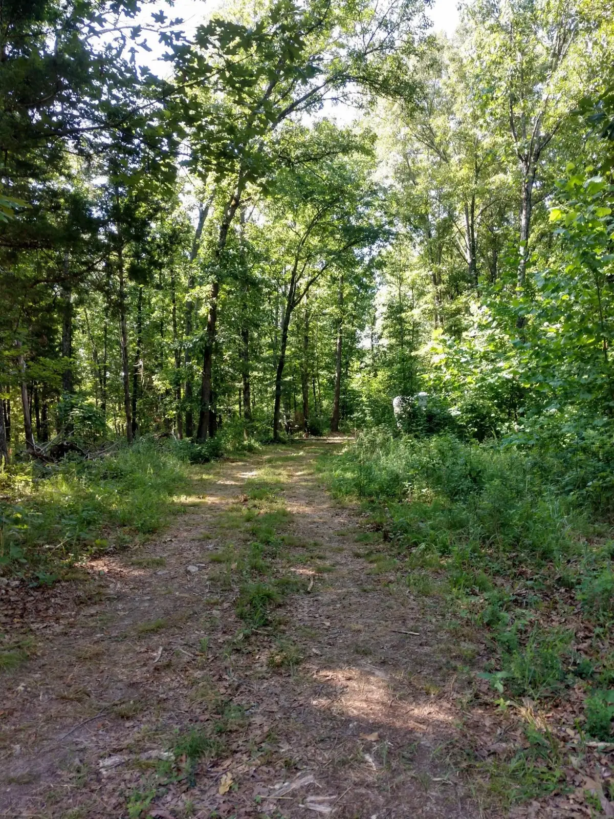 5366 Private Rd 5212, Willow Springs, MO 65793 - #1