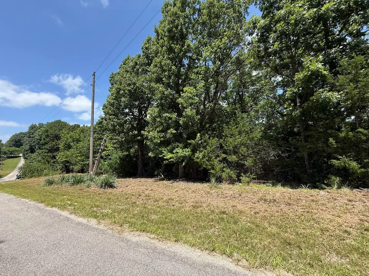 Lot 14&15 Mountain Estate Drive, Blue Eye, MO 65611 - #1