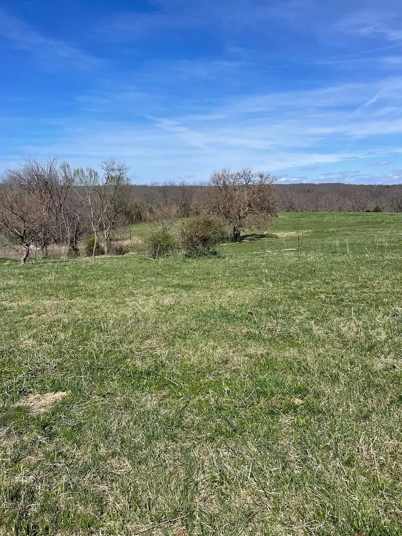 5620 Silver Lake Road, Clever, MO 65631 - #1