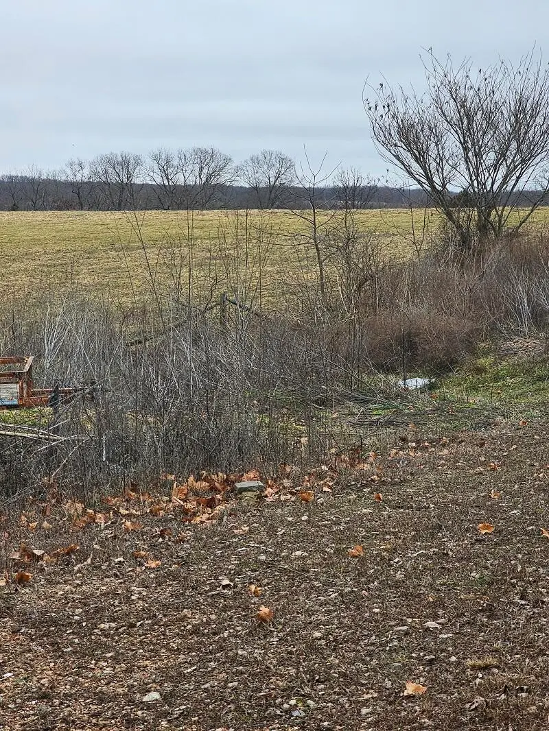 5620 Silver Lake Road, Clever, MO 65631 - #2