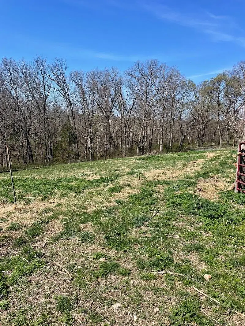 5620 Silver Lake Road, Clever, MO 65631 - #3
