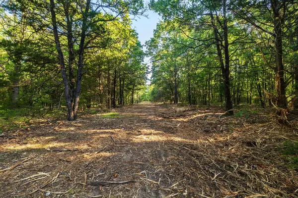 000 SE T Highway, Osceola, MO 64776
