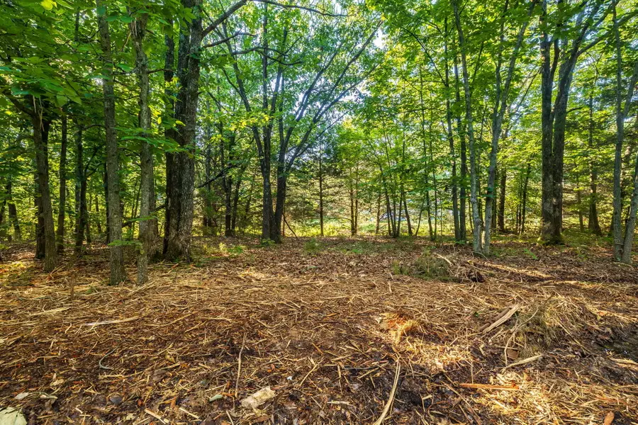 000 SE T Highway, Osceola, MO 64776 - #2