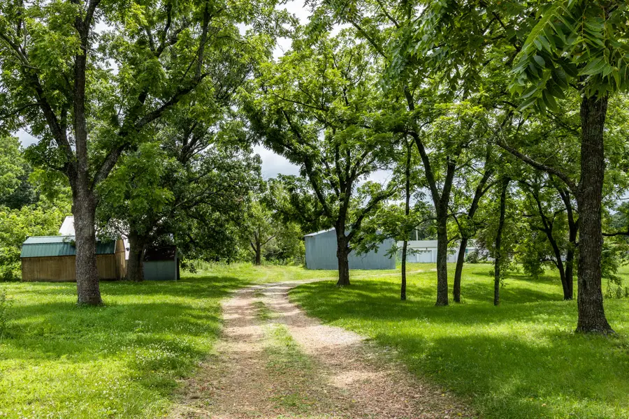 1016 Carnell Road, Rocky Comfort, MO 64861 - #2