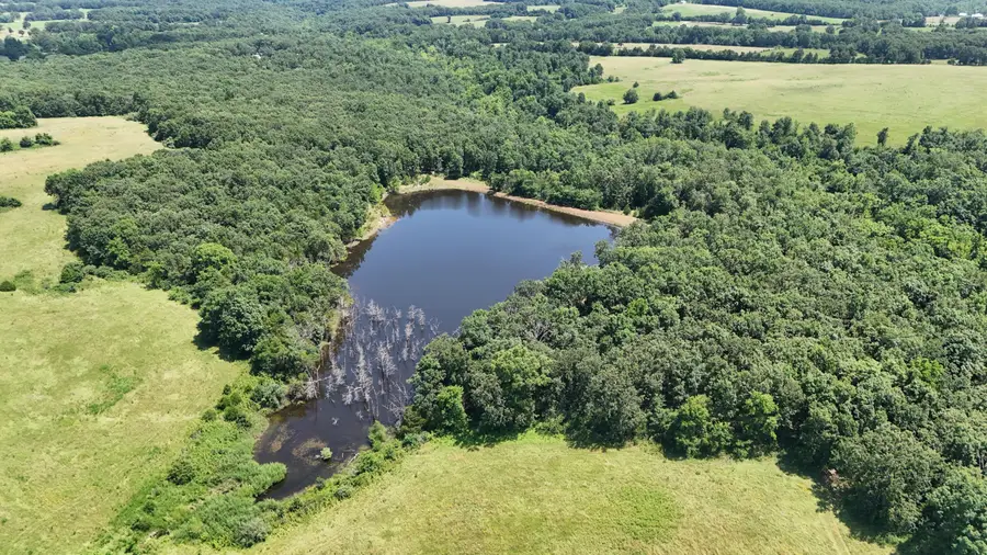 000 Maries Road 504, Dixon, MO 65459 - #2
