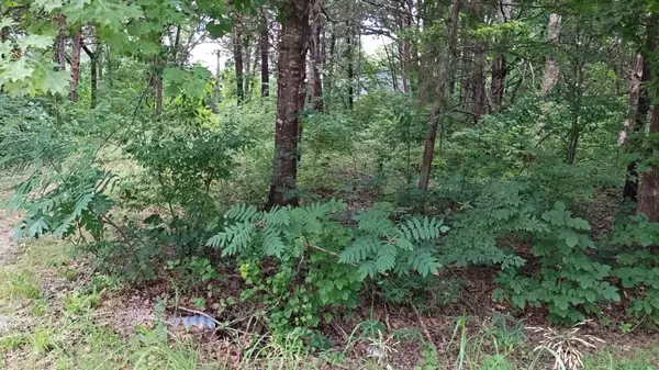 4185 Oakwood Road, Merriam Woods, MO 65740