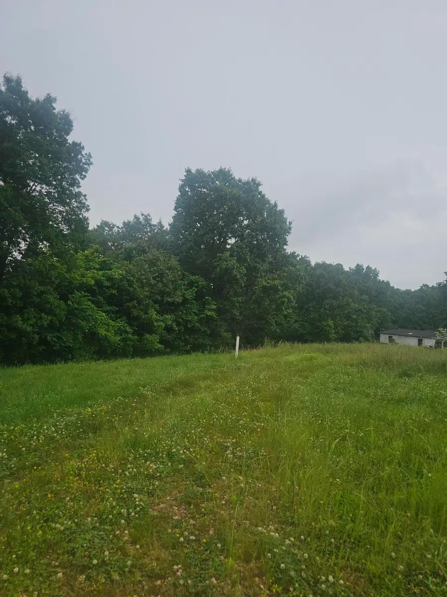 3646 State Highway 173, Galena, MO 65656 - #3
