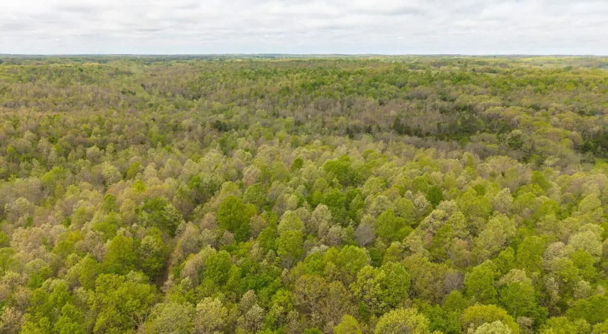 000 Cass Road, Hartville, MO 65667 - #1
