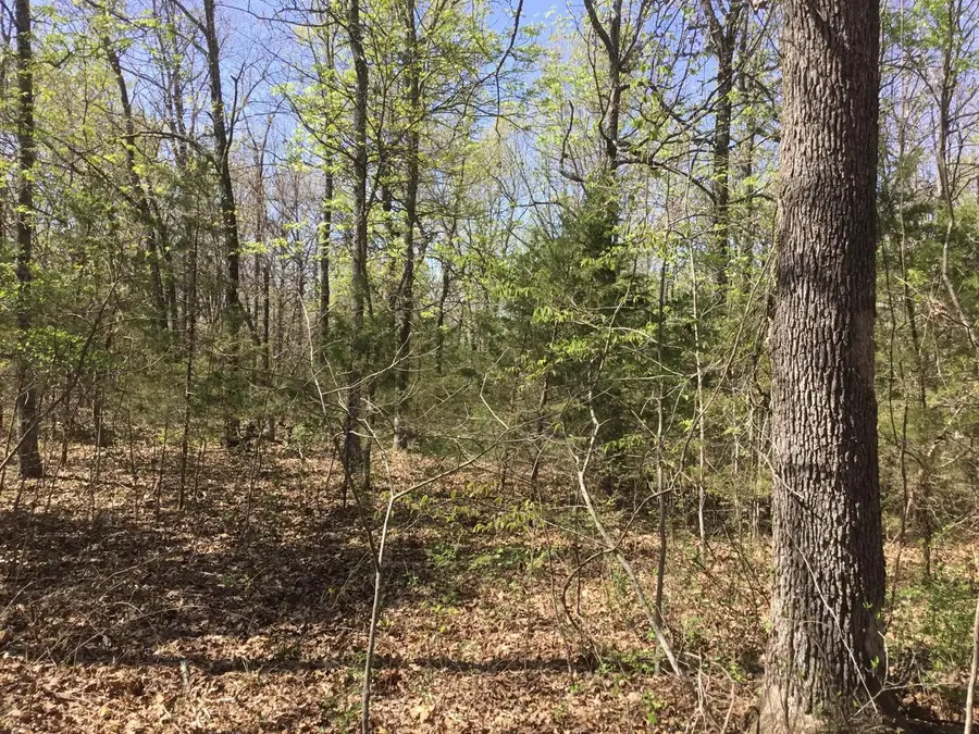 000 Cass Road, Hartville, MO 65667 - #3