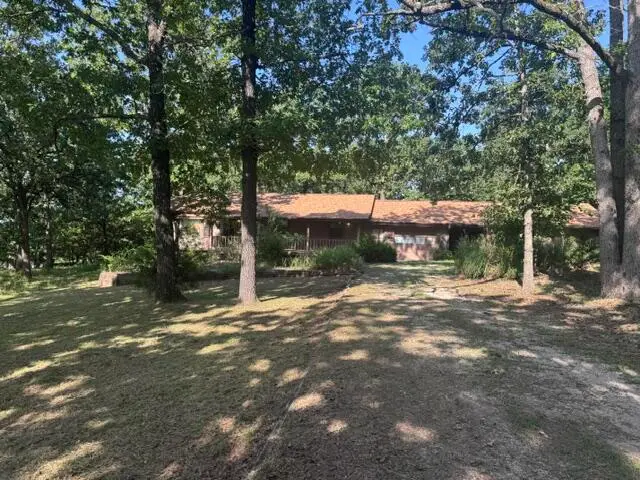 203 Blue Meadows Drive, Branson, MO 65616 - #1