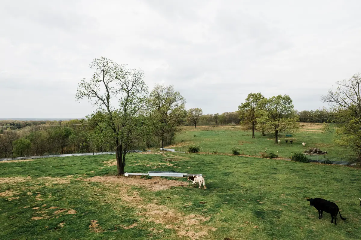 000 Buckeye Lane, Stella, MO 64867 - #1