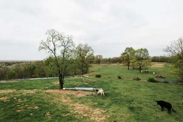 000 Buckeye Lane, Stella, MO 64867