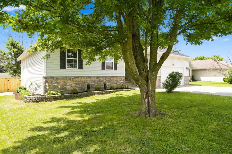 203 Penzance Street, Monett, MO 65708 - #3