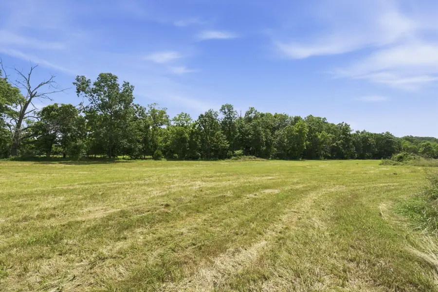 000 S State Highway 5, Ava, MO 65608 - #3
